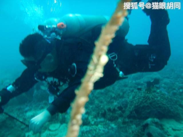 全民烧脑3去广告版
