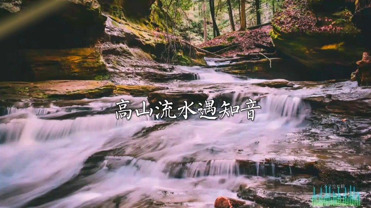 作业精灵3.8.10红迪网-最全面的讨论社区